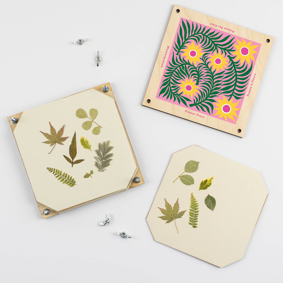 Flower Press - Teasel (US landed)