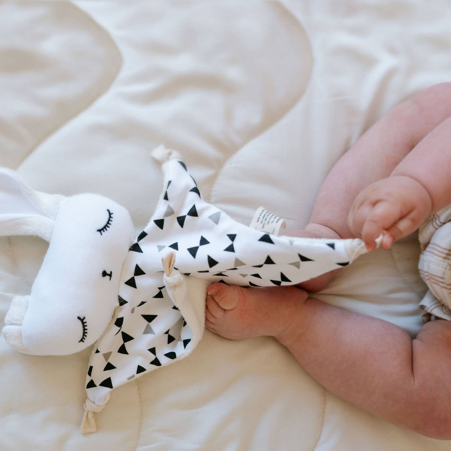 Cuddle Bunny ~ Bowties