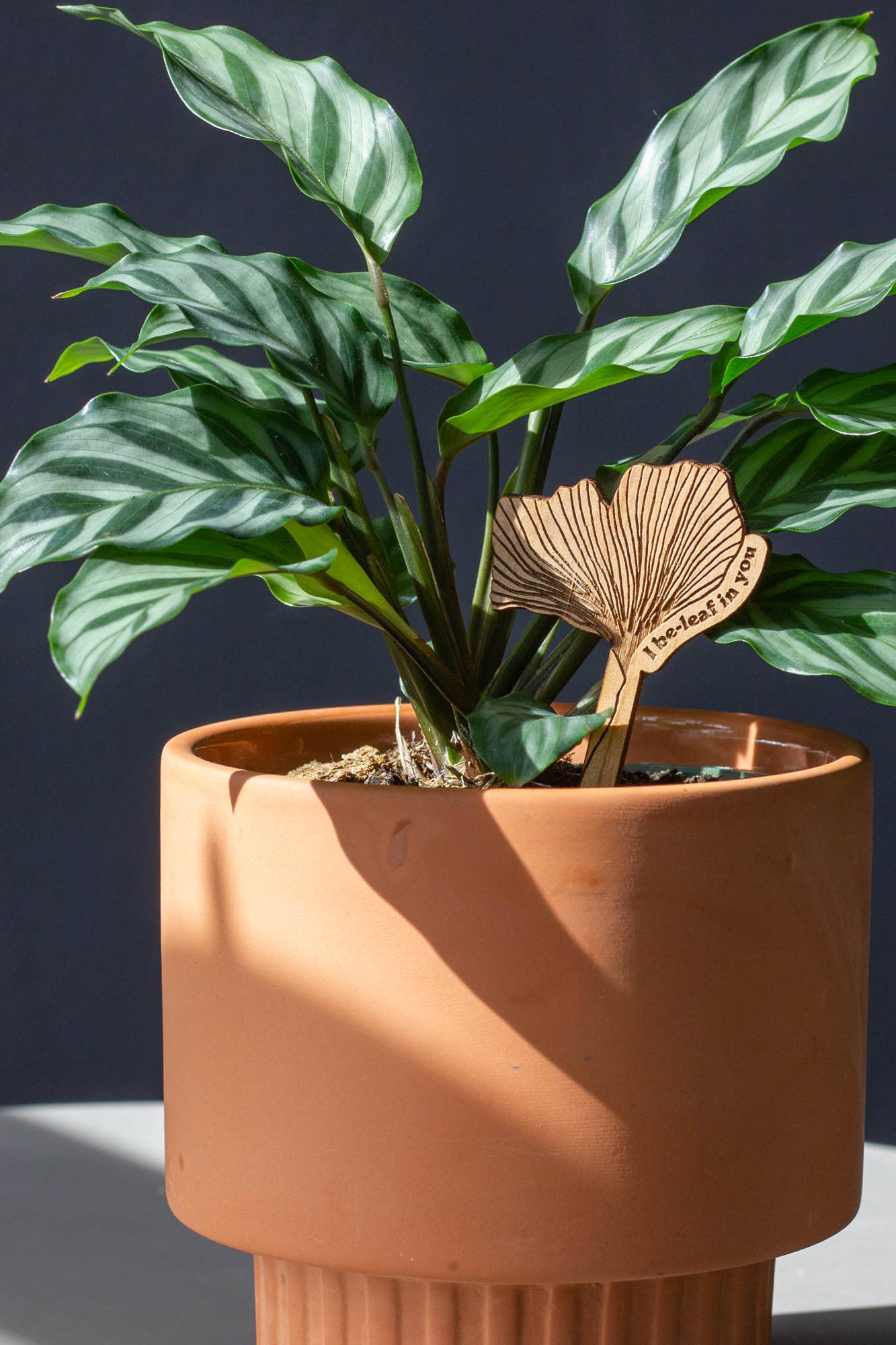Wood Plant Pick ~ I Be-leaf In You Ginkgo