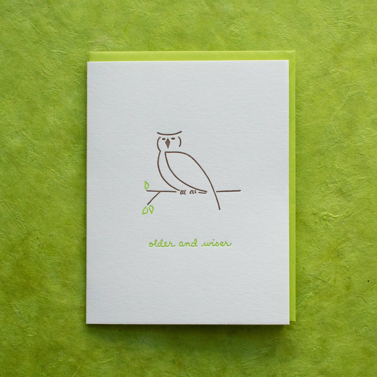 Birthday Greeting Card ~ Older And Wiser