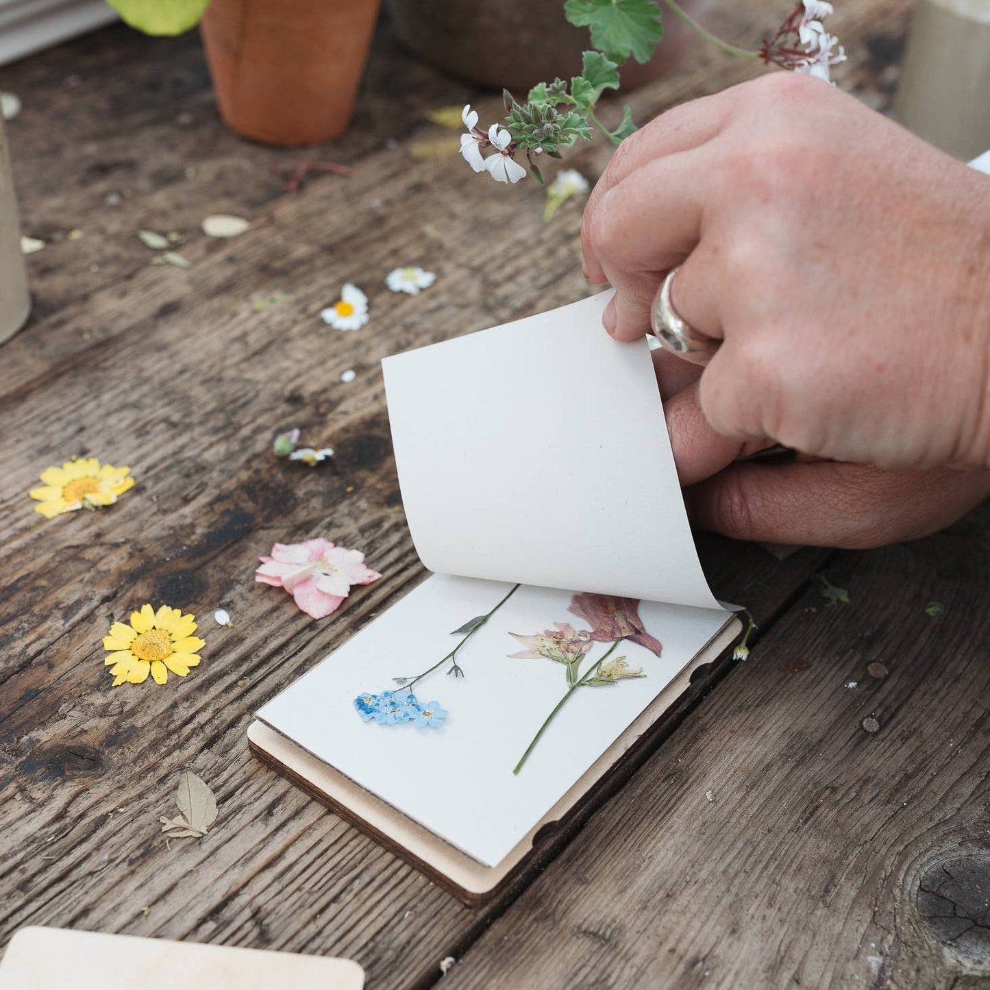 Pocket Flower Press - Vintage Buttercup