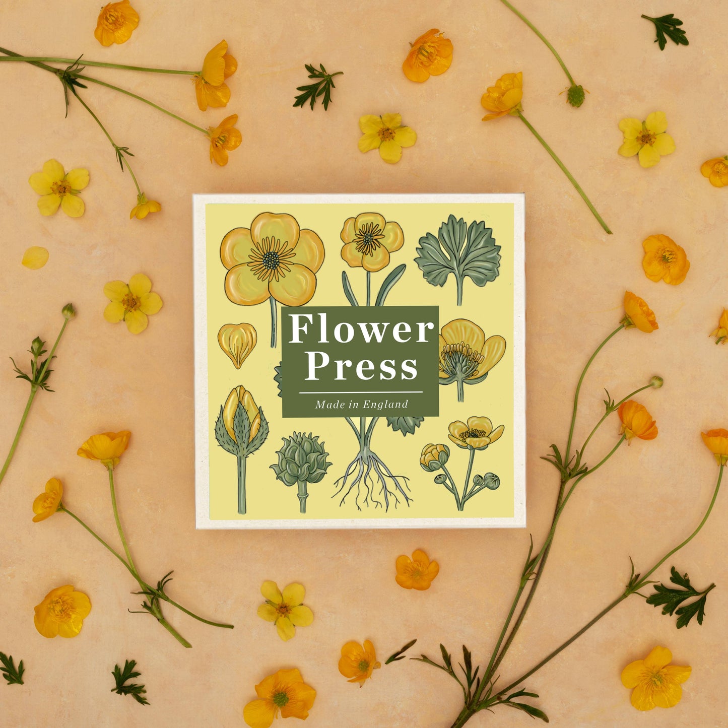 Flower Press ~ Buttercup