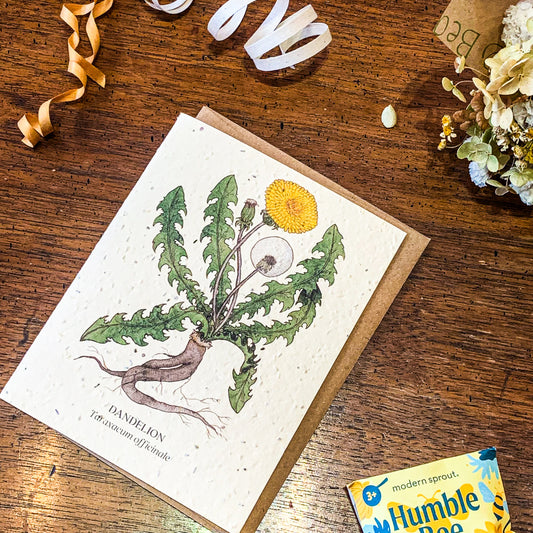 Plantable Greeting Card ~ Dandelion