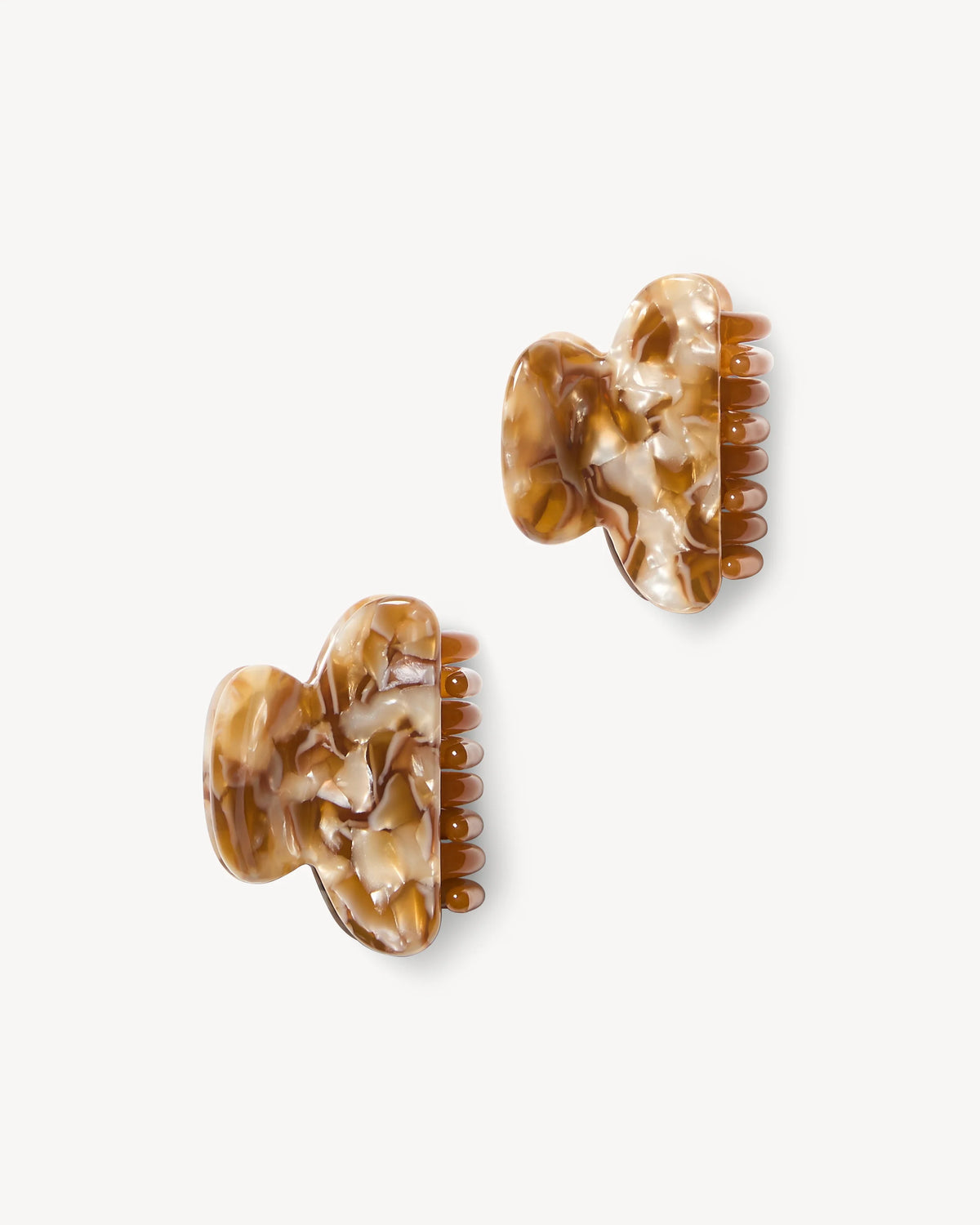 Twin Heirloom Claws ~ Baja Tortoise