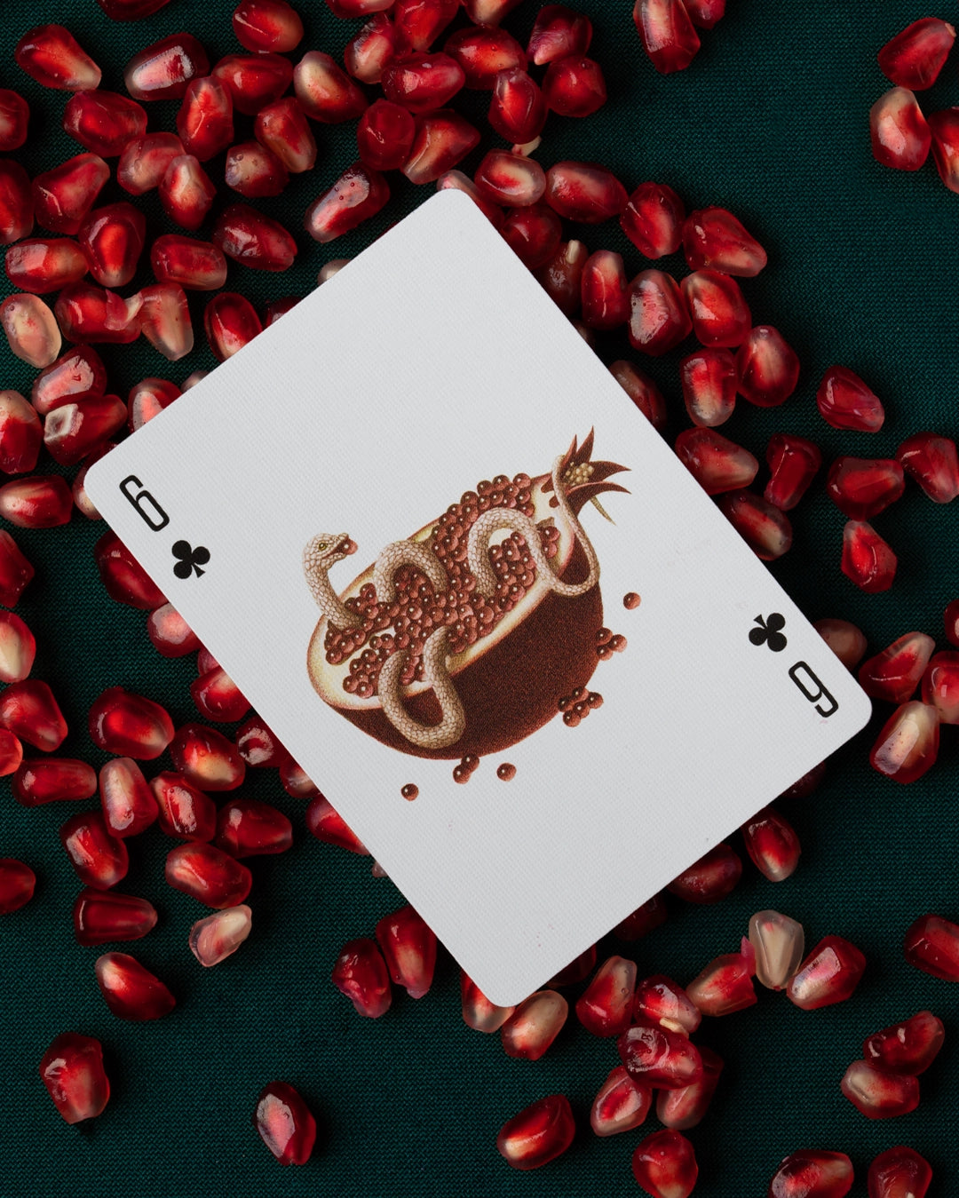 Playing Cards ~ Cabinetarium