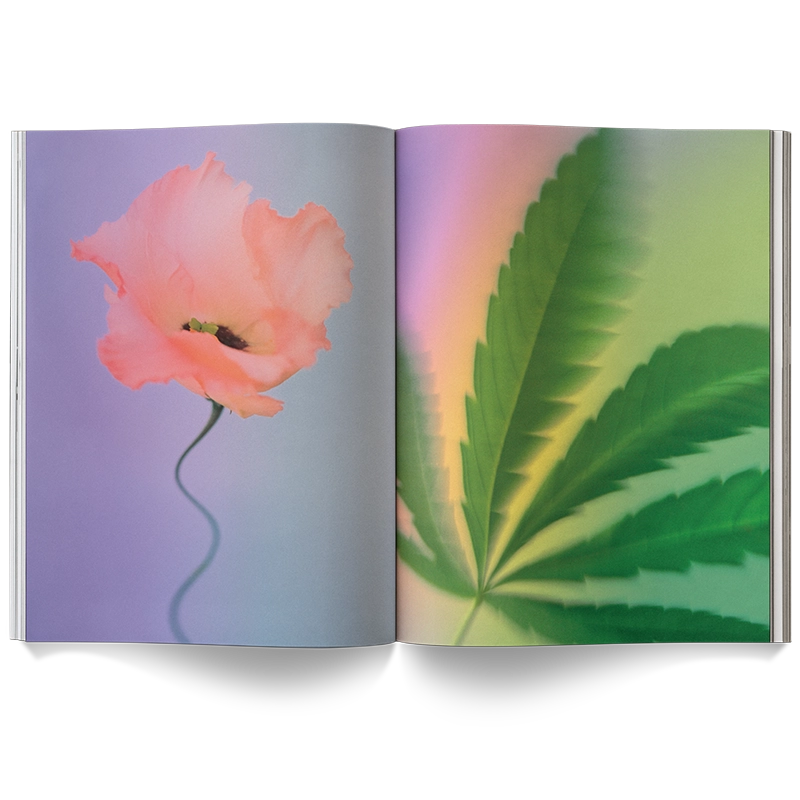 Book ~ A Weed is a Flower
