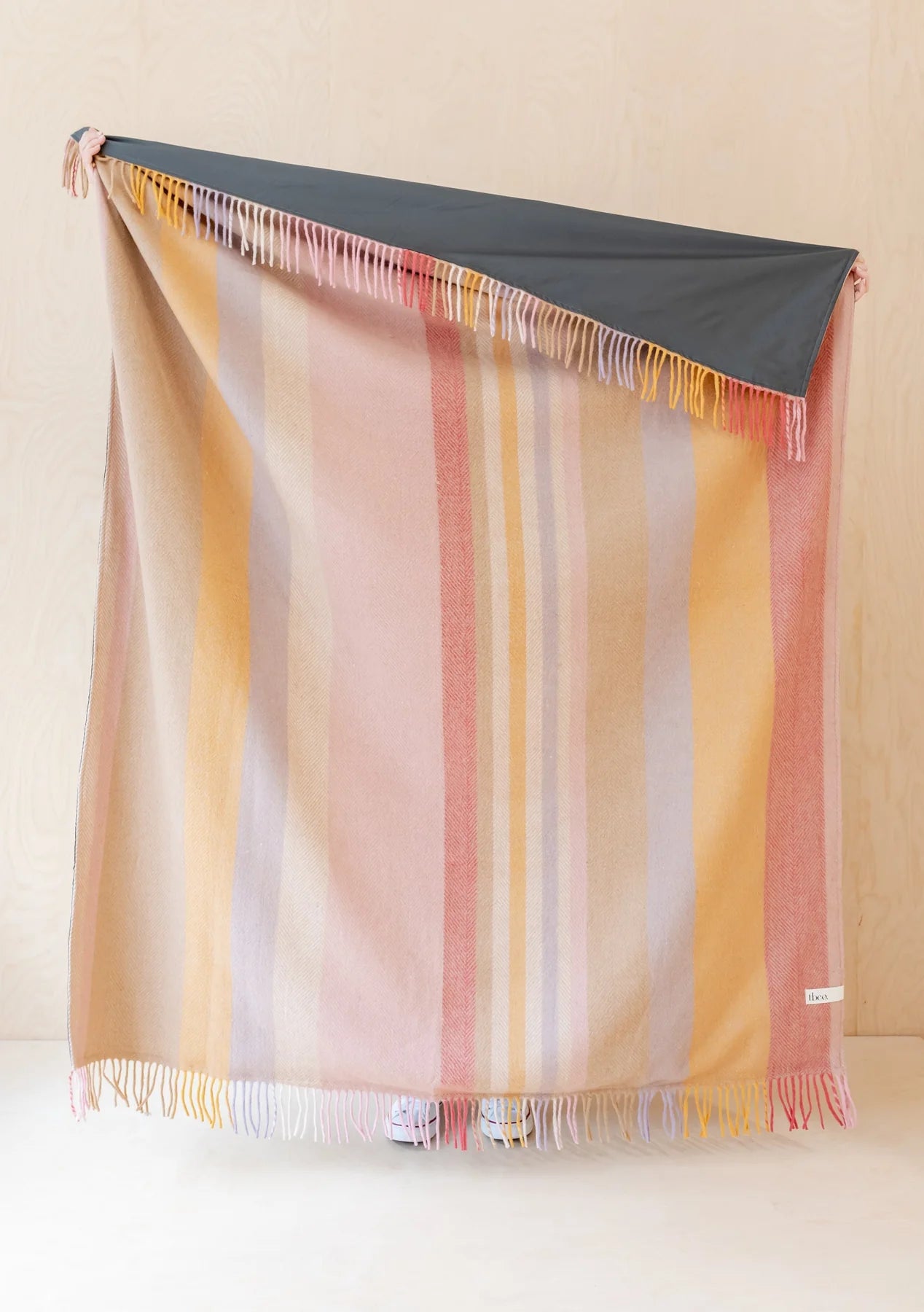 Recycled Picnic Blanket ~ Coral Stripe