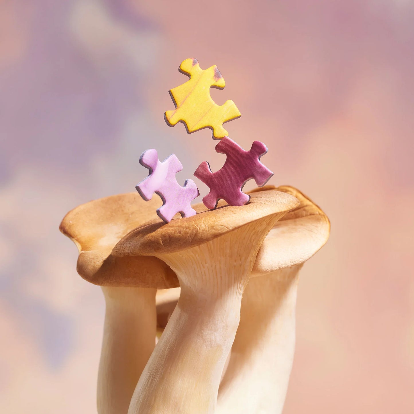 Puzzle (1000 Piece)~ Magic Moment