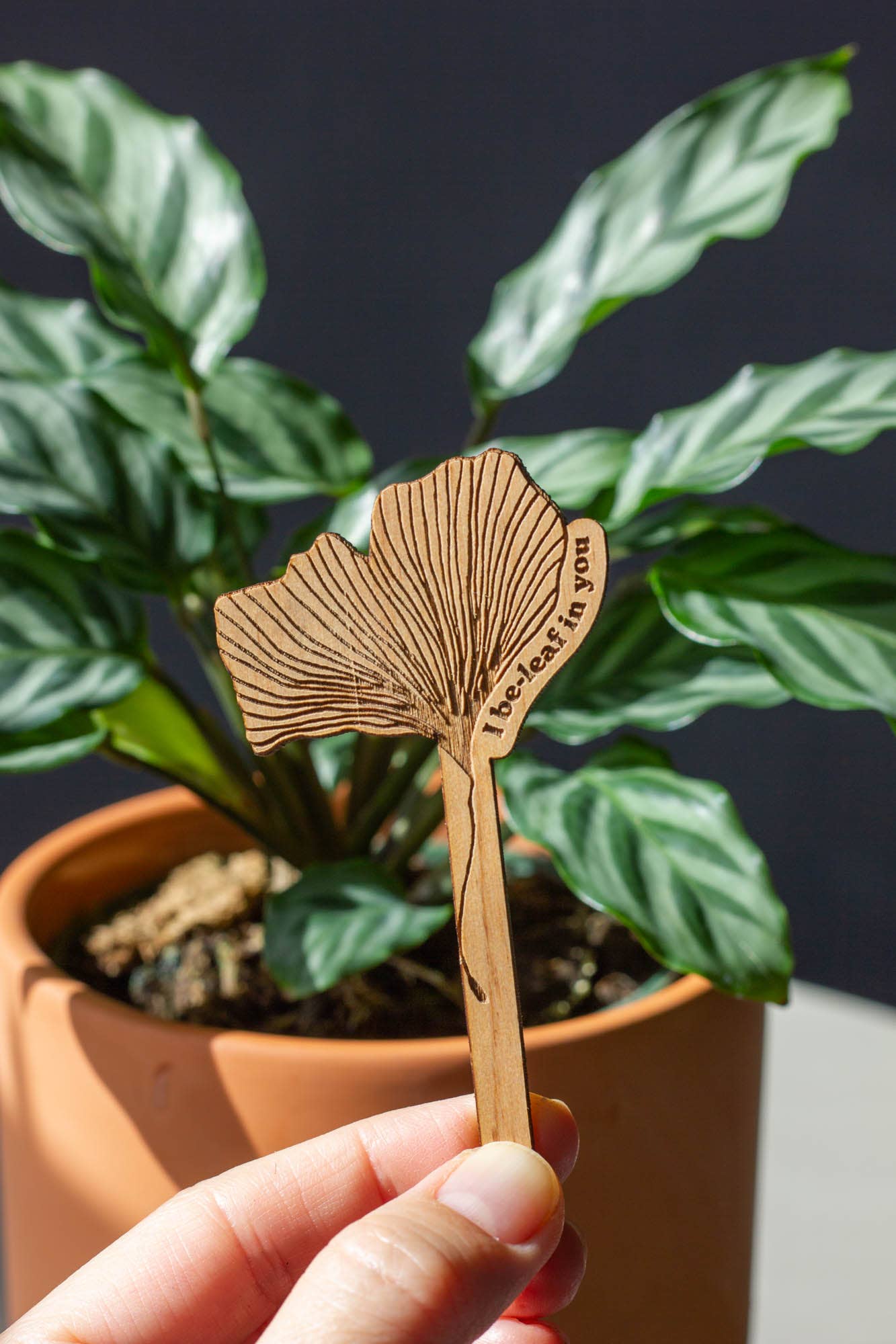 Wood Plant Pick ~ I Be-leaf In You Ginkgo