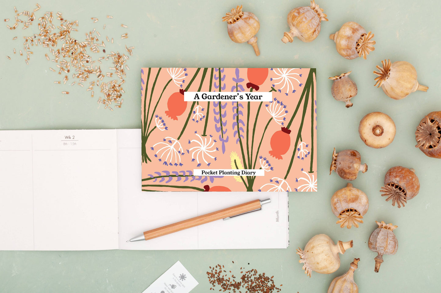 Gardener's Diary ~ Peach