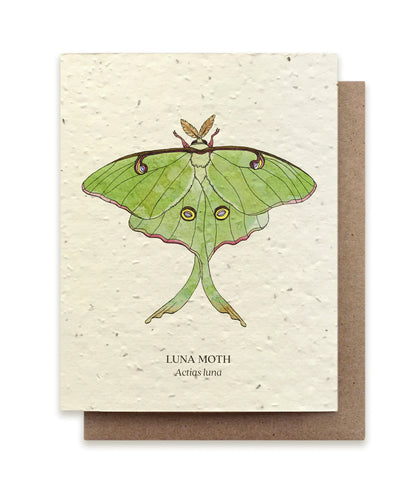 Plantable Greeting Card ~ Luna Moth