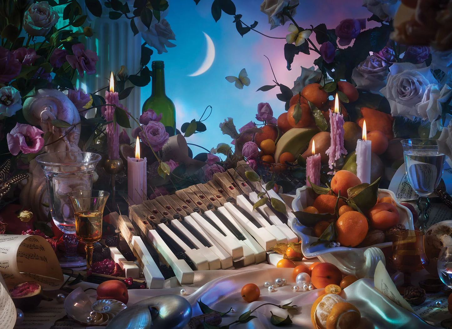 Puzzle (500 Pieces) ~ Moonlight Sonata