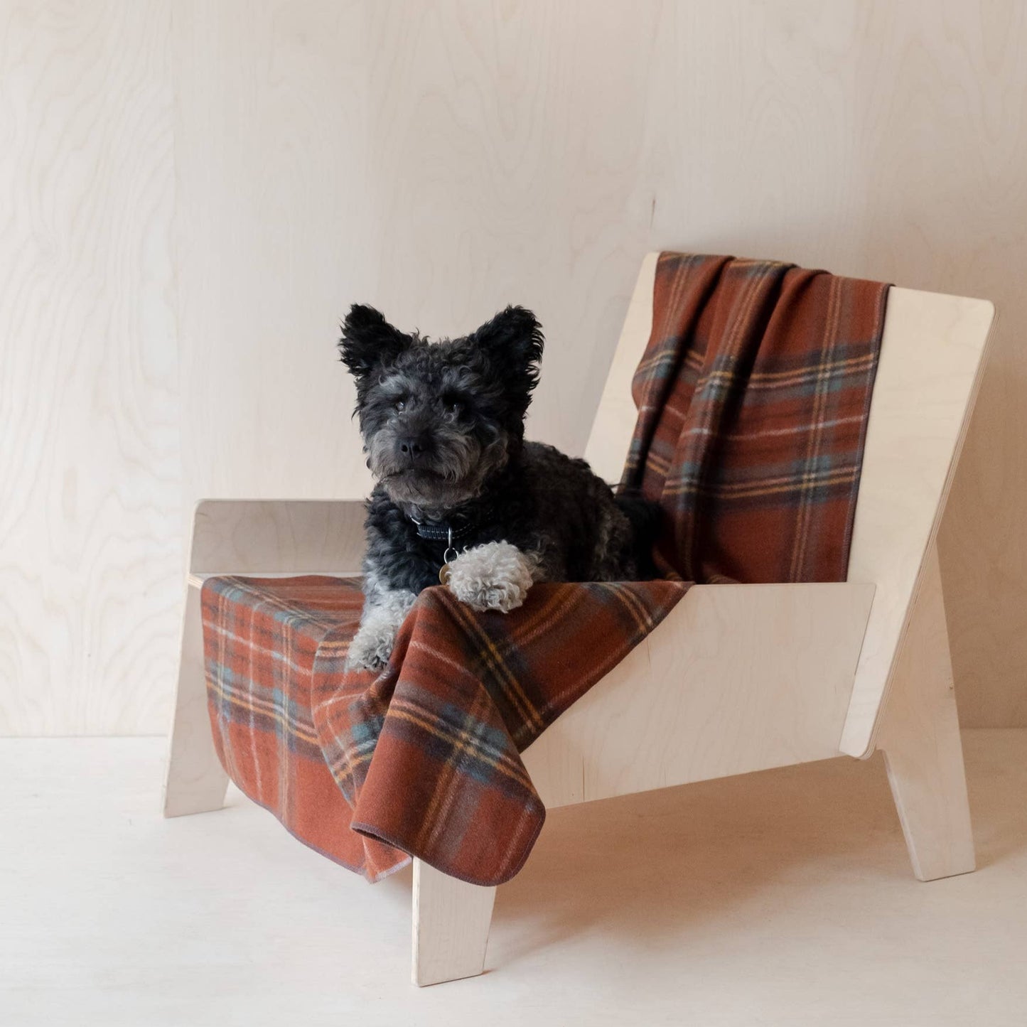 Pet Blanket (Large) ~ Stewart Royal Antique