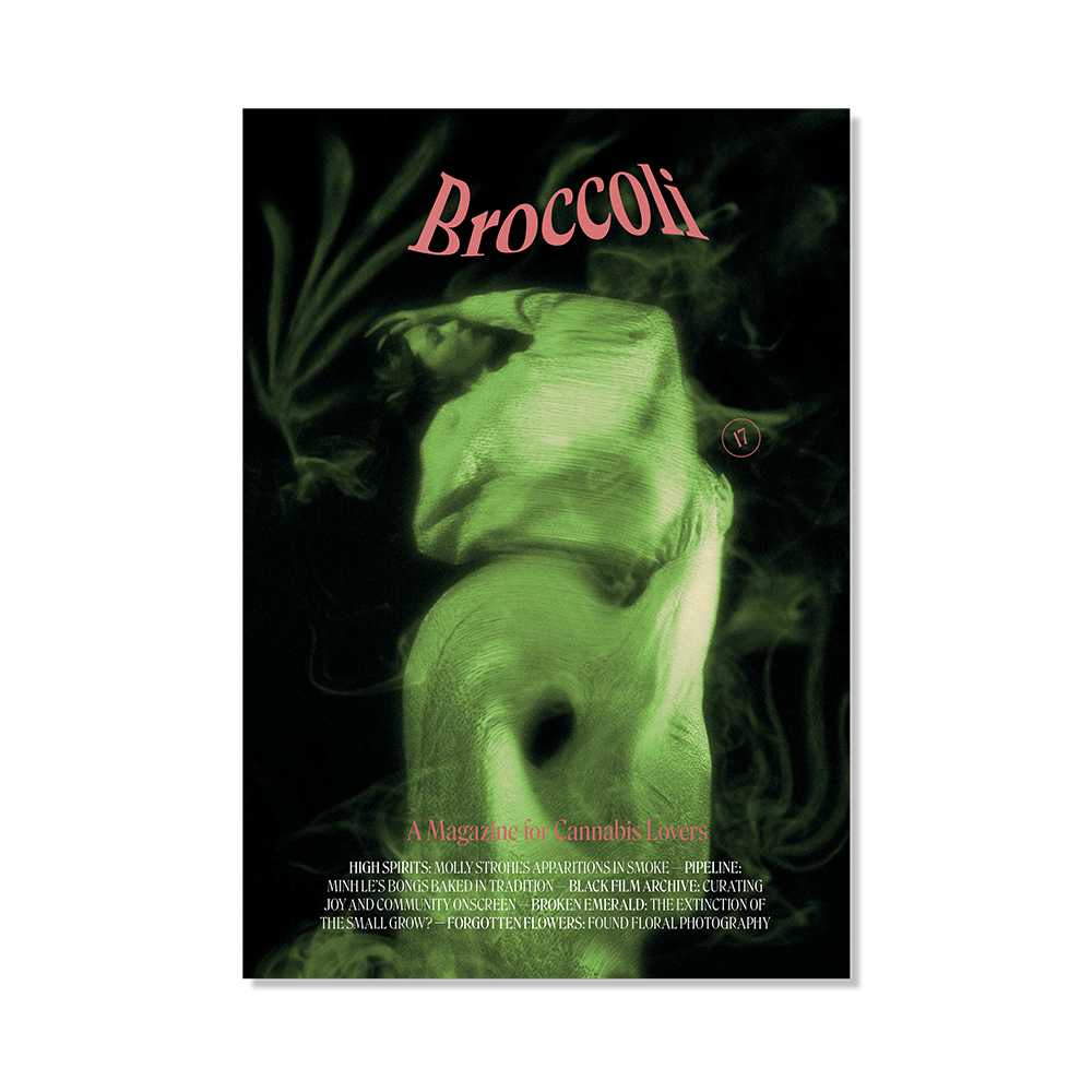 Broccoli Magazine ~ Issue 17