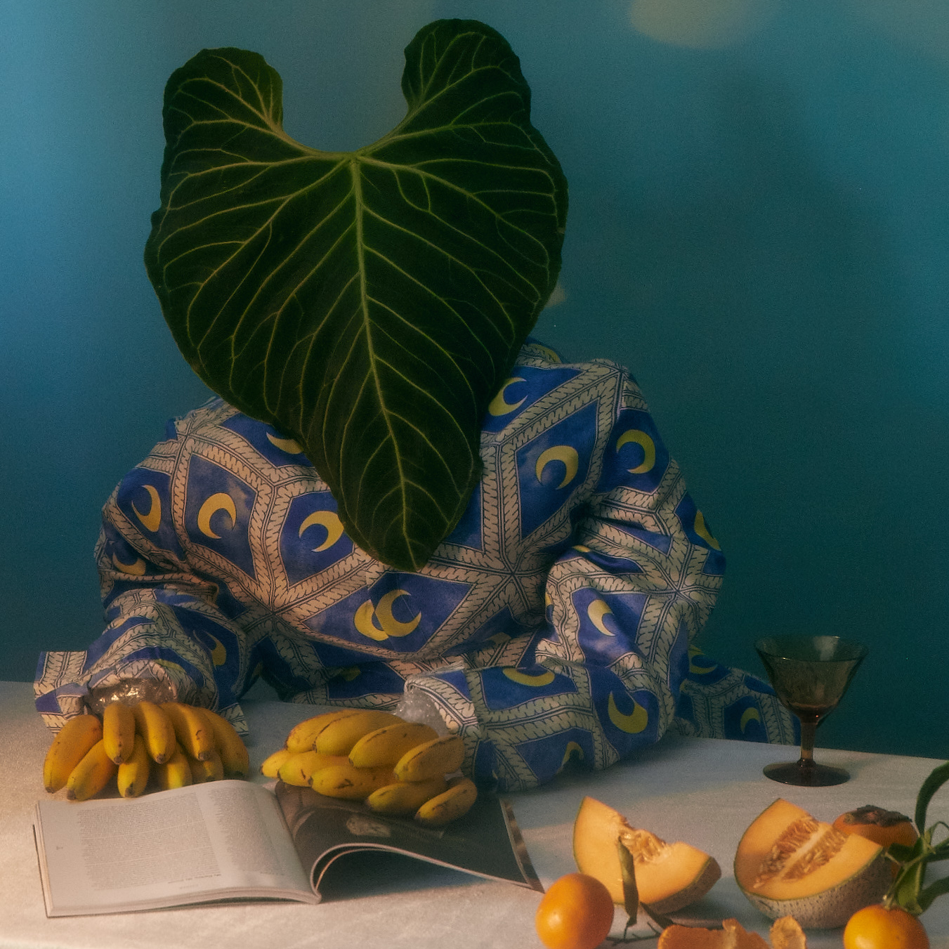 Puzzle (500 Piece) ~ Banana Hands