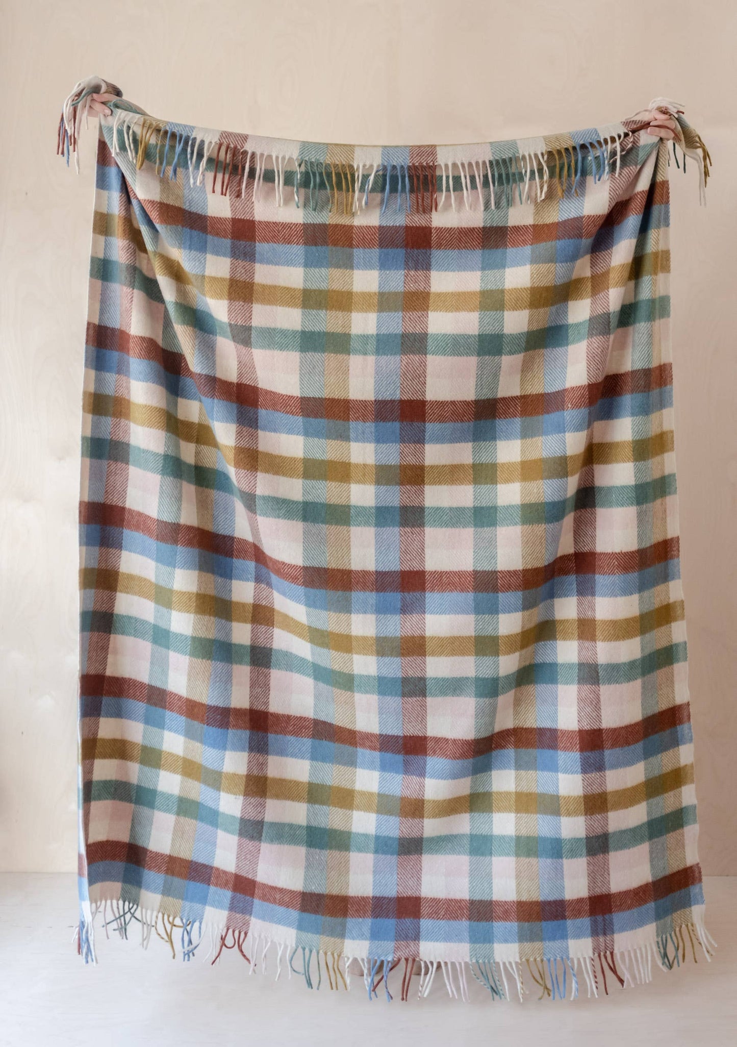 House Blanket ~ Rainbow Check