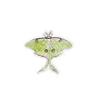 Eco-Sticker ~ Assorted
