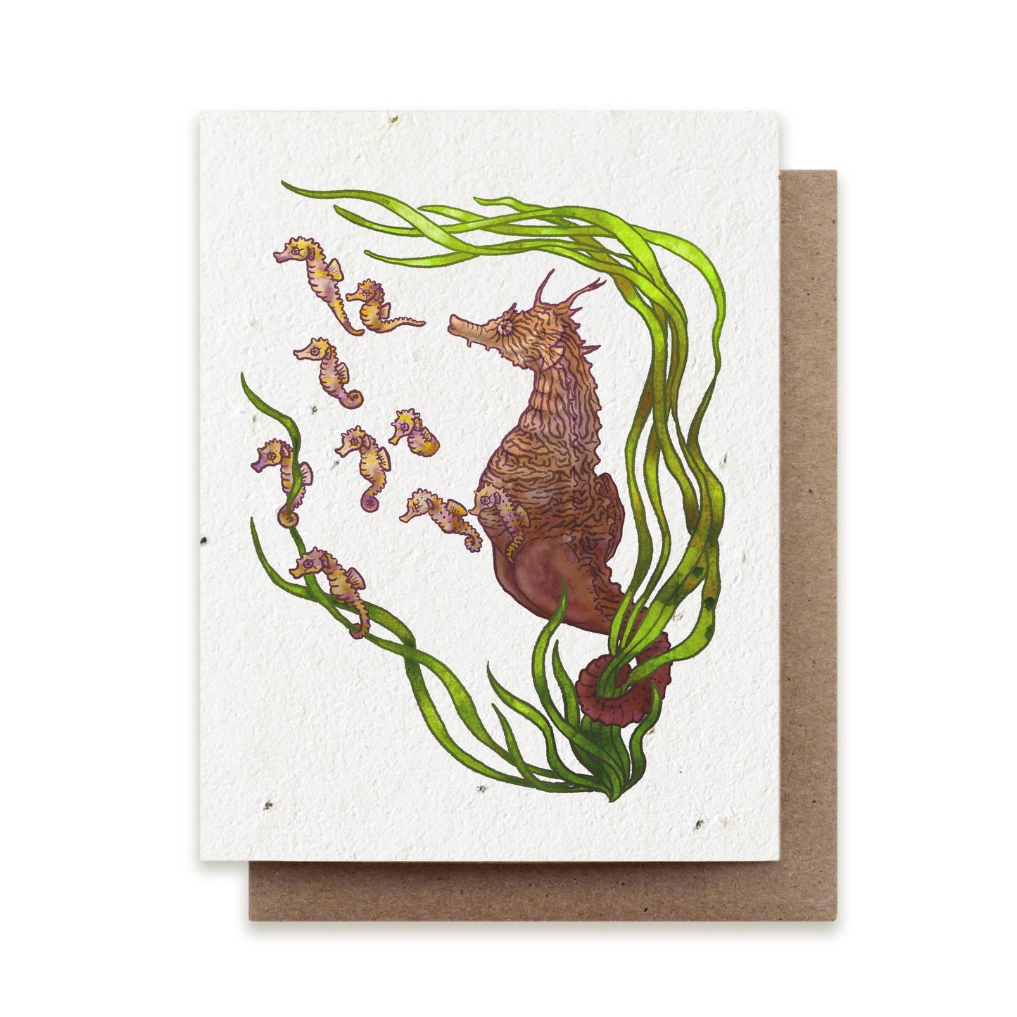 Greeting Card ~ Seahorse Father (Plantable Herbal Seed Card)