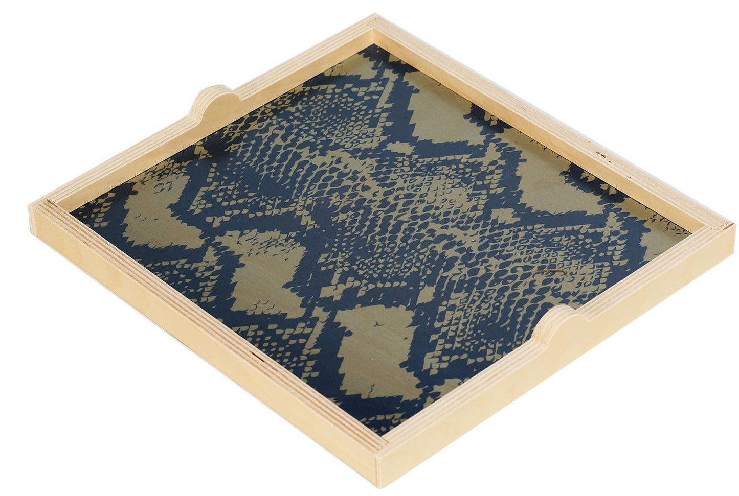 Square Tray ~ Snake Skin Blues