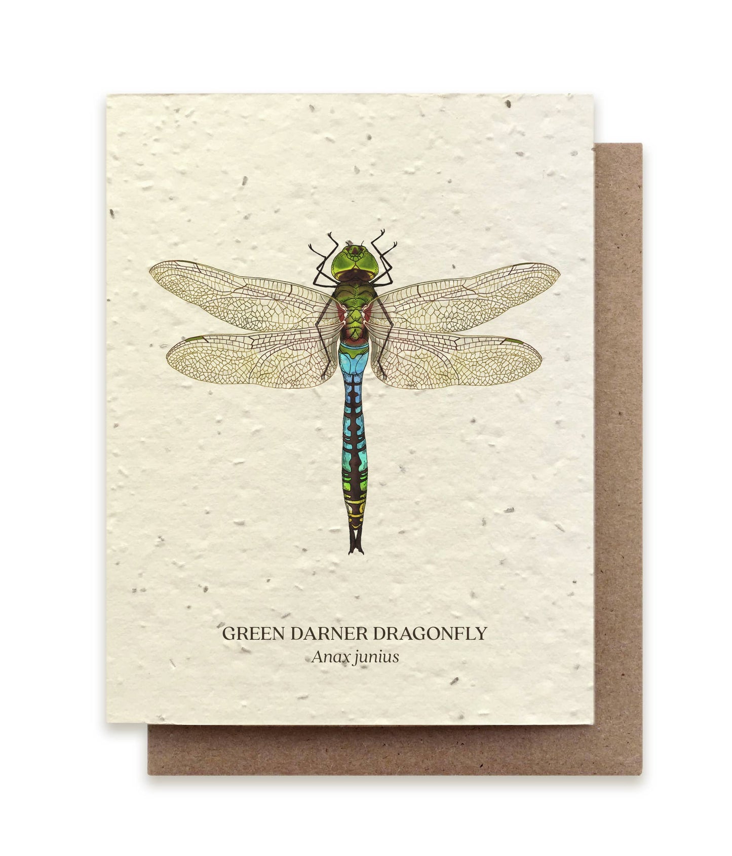 Greeting Card ~ Green Darner Dragonfly (Plantable Wildflower Seed Card)