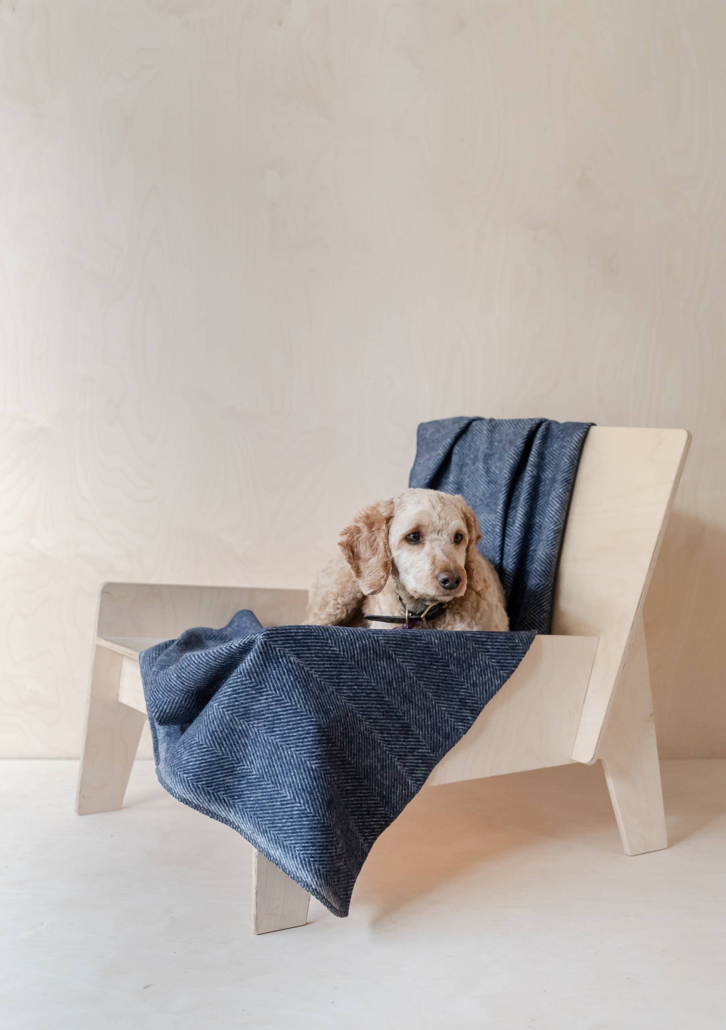 Pet Blanket (Large) ~ Navy Herringbone