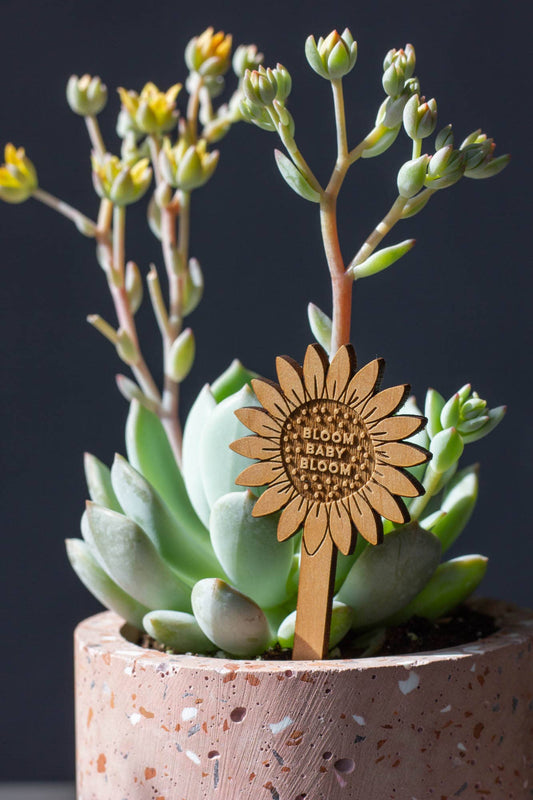 Wood Plant Pick ~  Bloom Baby Bloom Sunflower
