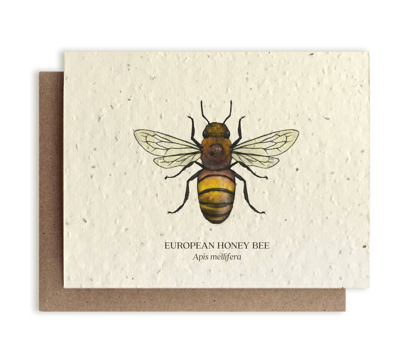 Plantable Greeting Card ~ Honey Bee