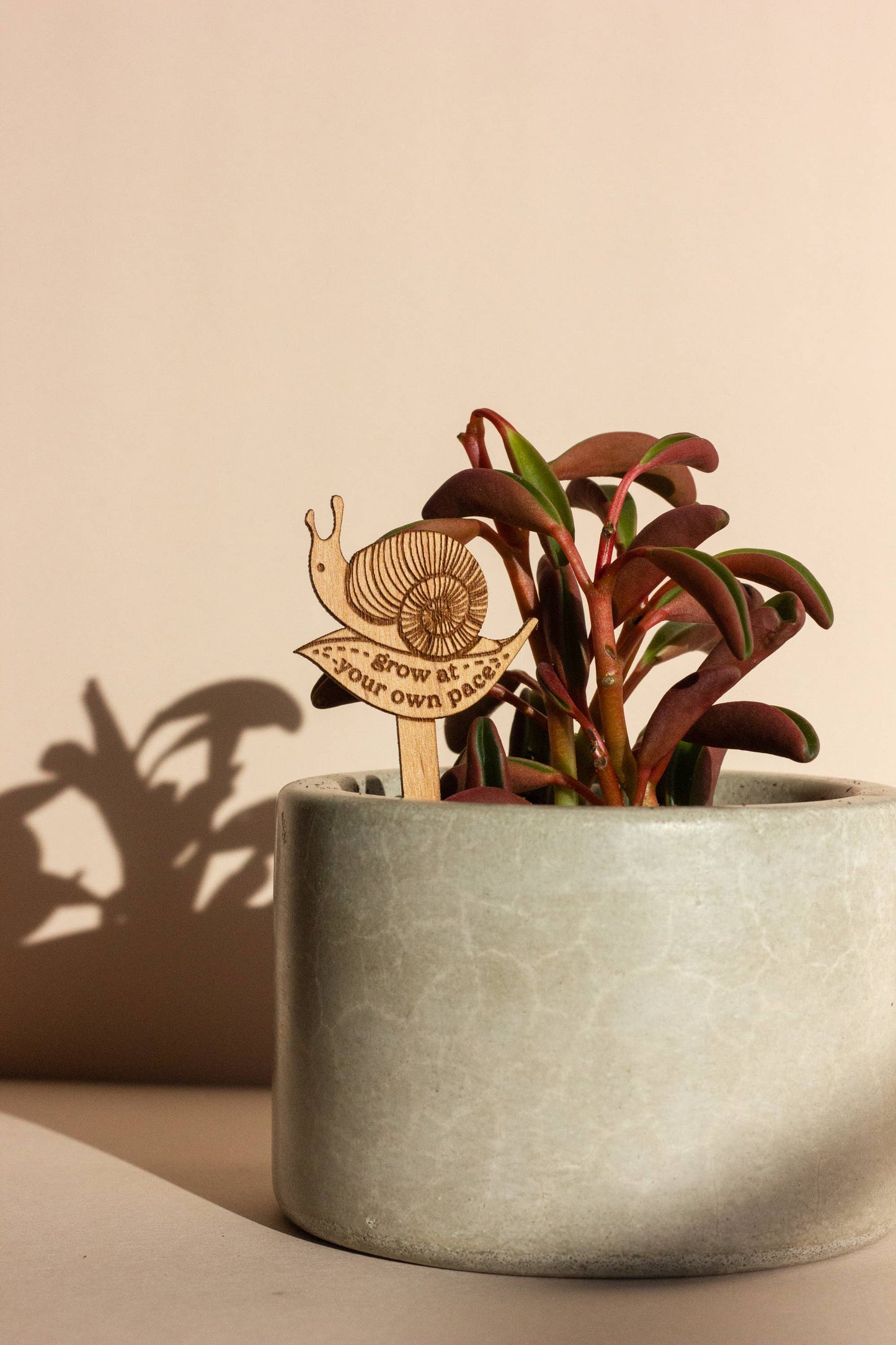 Wood Plant Pick ~ Grow at Your Own Pace Snail