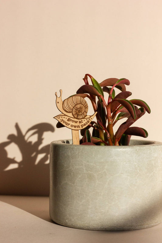 Wood Plant Pick ~ Grow at Your Own Pace Snail