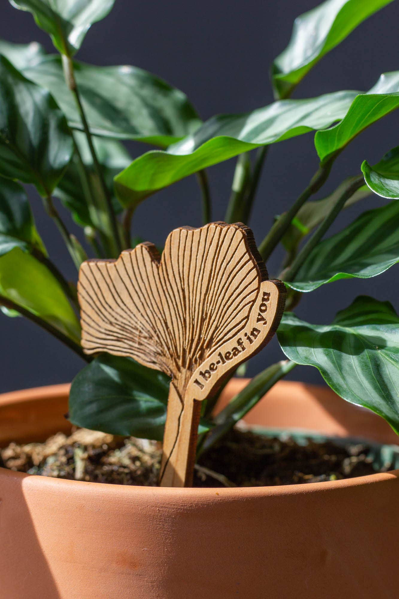 Wood Plant Pick ~ I Be-leaf In You Ginkgo
