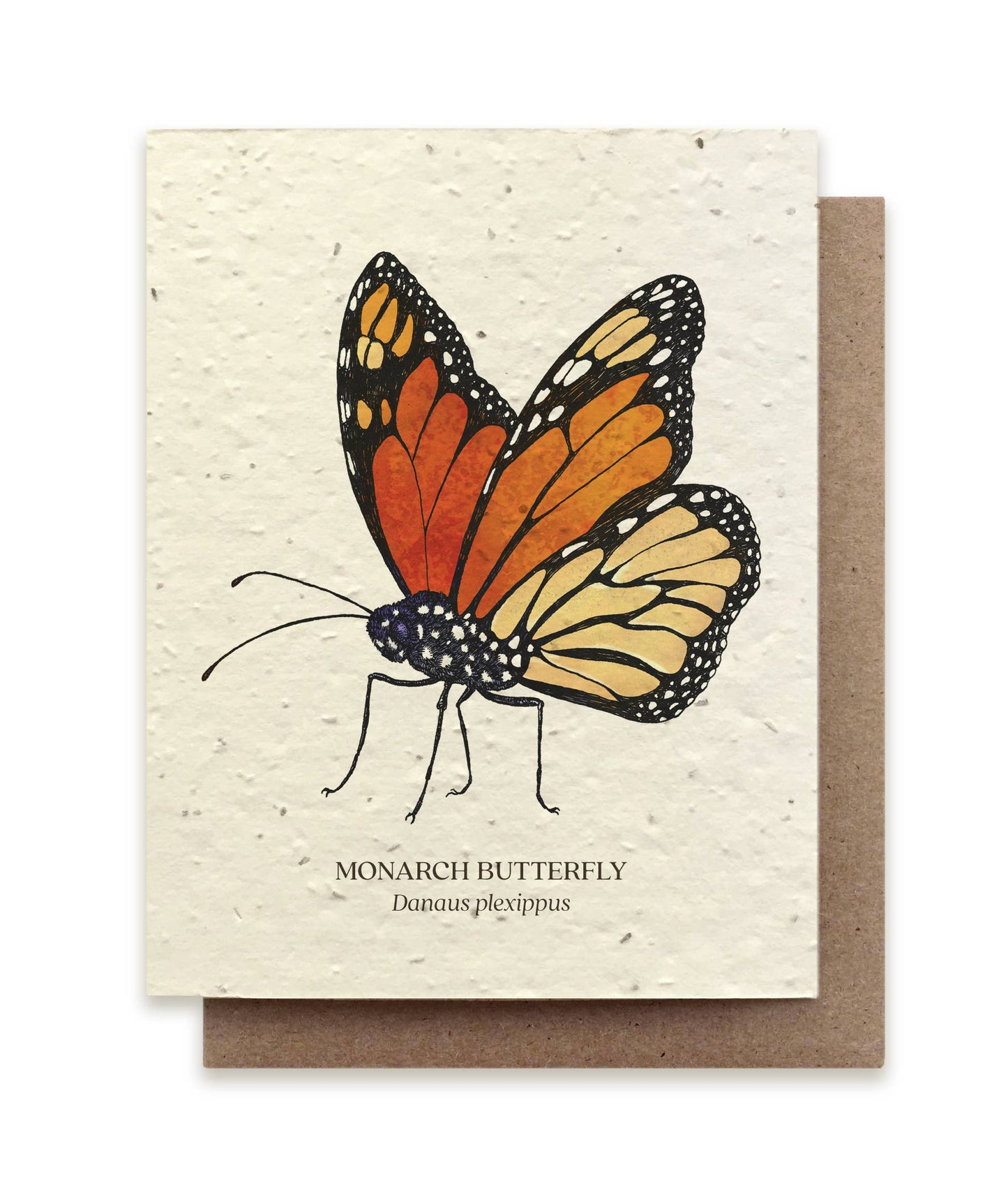 Plantable Greeting Card ~ Monarch Butterfly