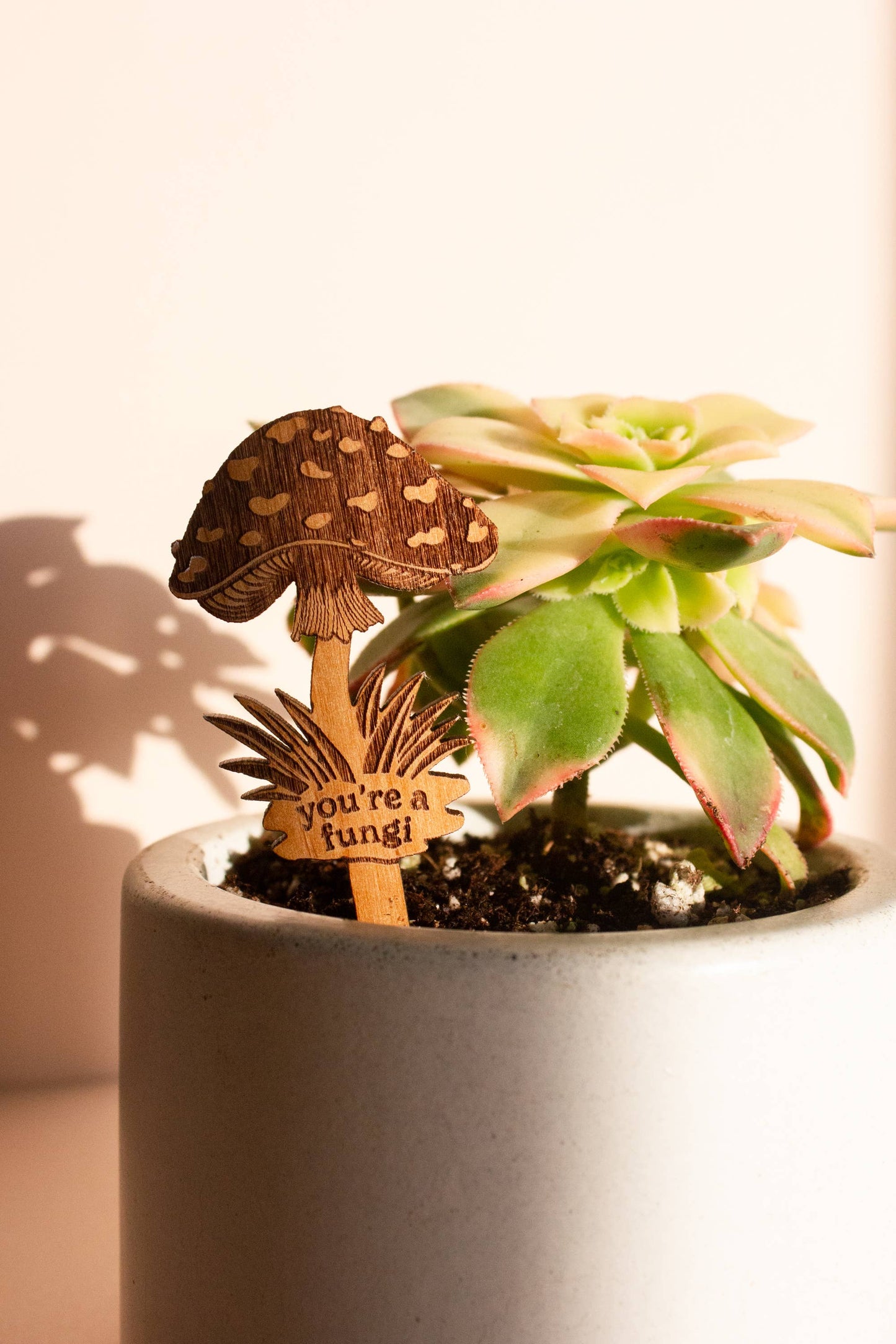 Wood Plant Pick ~ You're a Fungi Mushroom