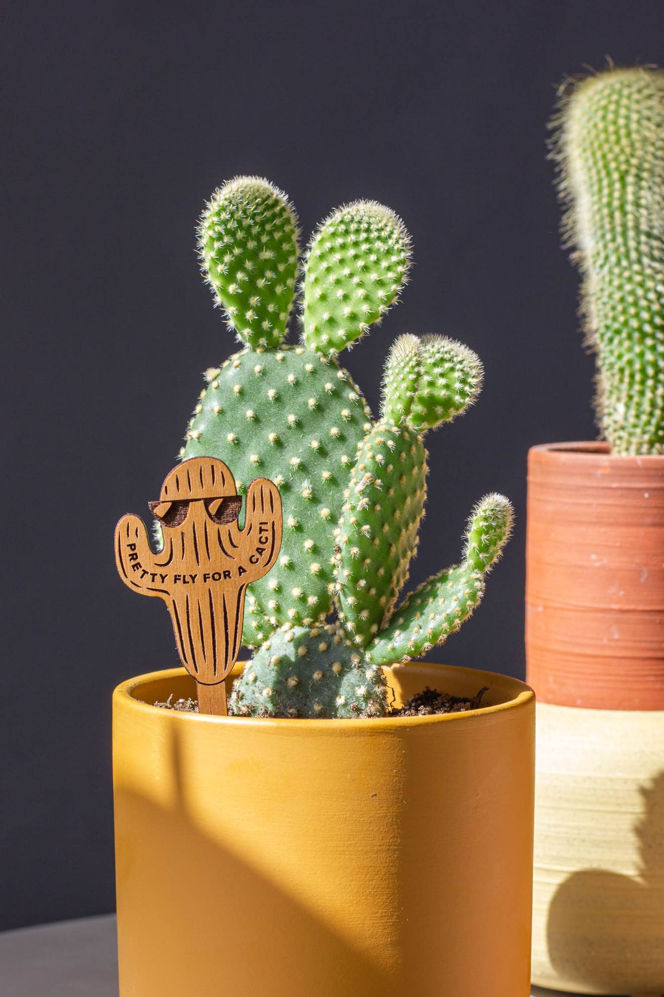 Wood Plant Pick ~ Pretty Fly For A Cacti