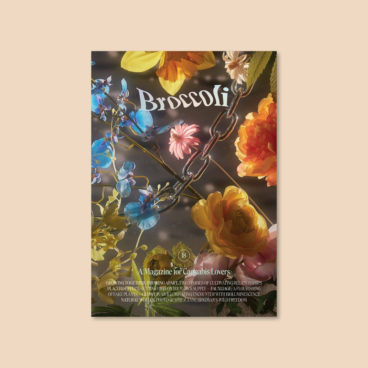 Broccoli Magazine ~ Issue 18