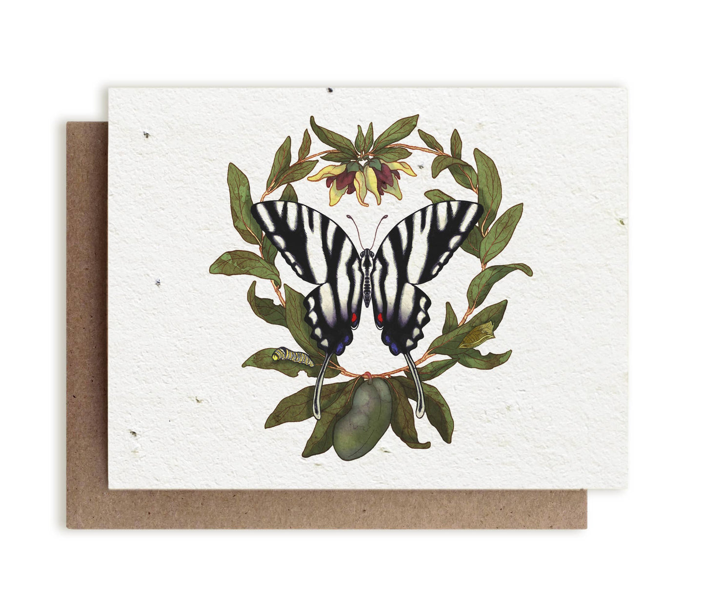 Greeting Card ~ Zebra Swallowtail Butterfly & PawPaw (Plantable Herbal Card)