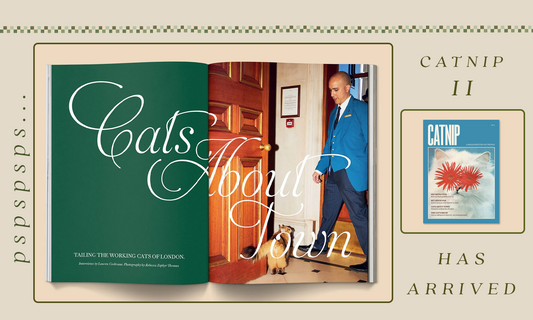 Pspsps - Catnip II is here!