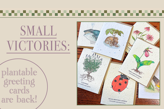 Plantable Greeting Cards Are Back!