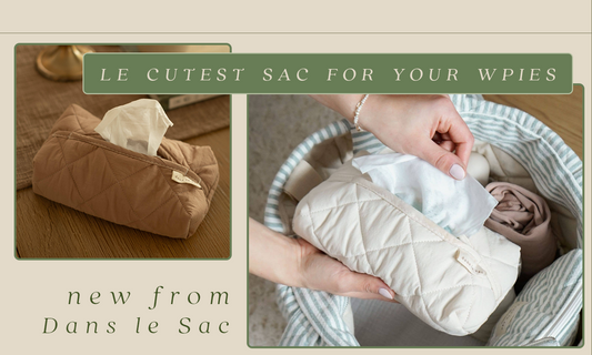 Le Cutest Sac for Your Wipes