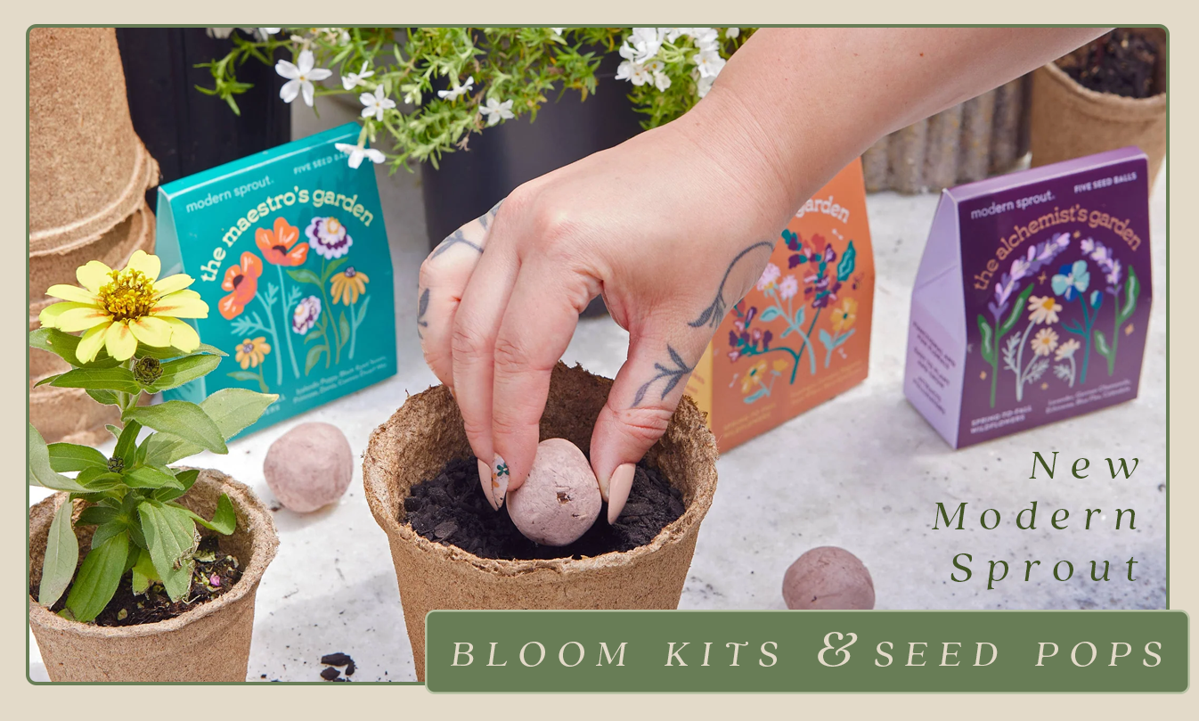 Seed Pops, Grow Kits, and Things That Bloom ~ Shop New Modern Sprout ...