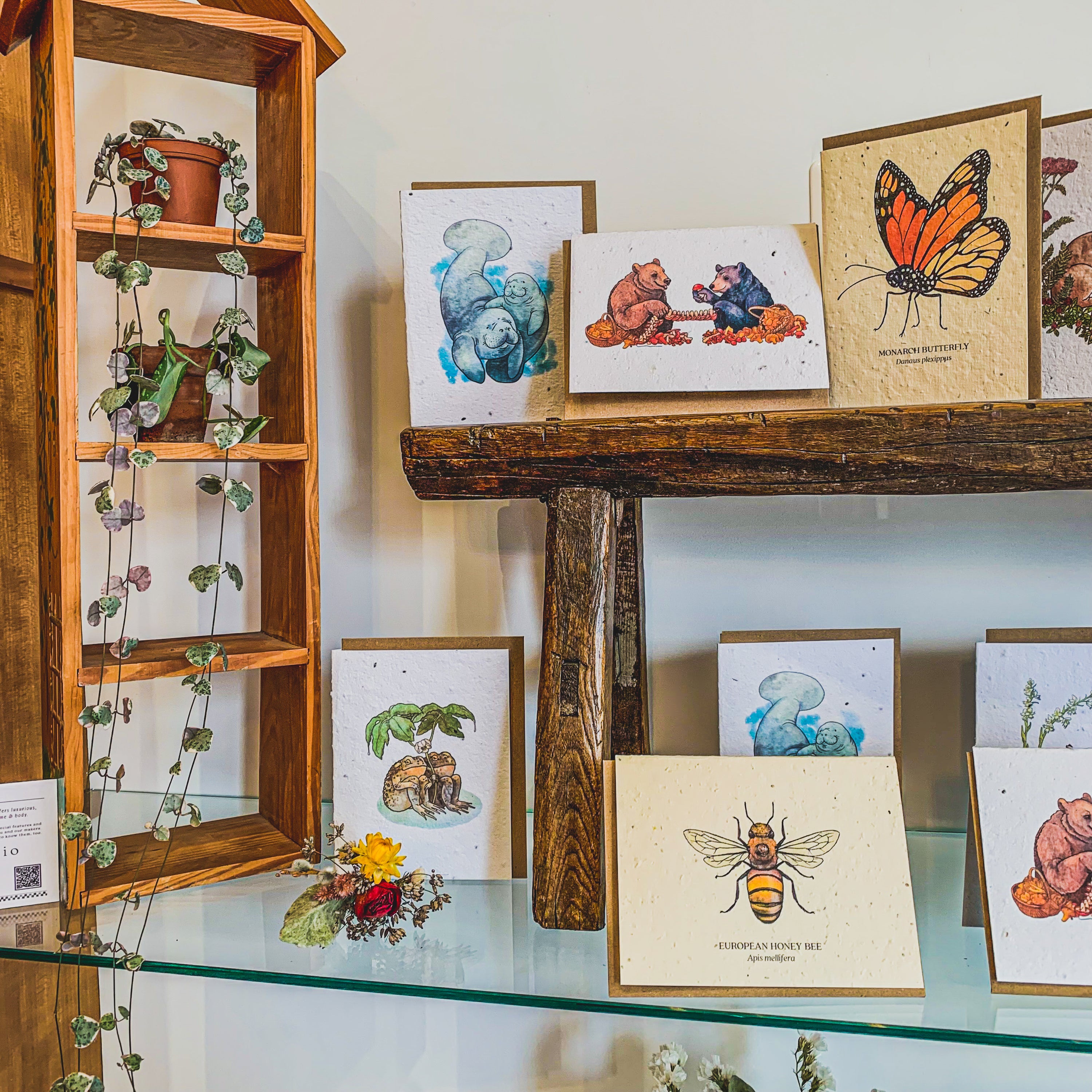 A greeting card display of plantable seed cards featuring a honey bee and two toads together. There is a string of hearts plant trailing on the left side of this picture.