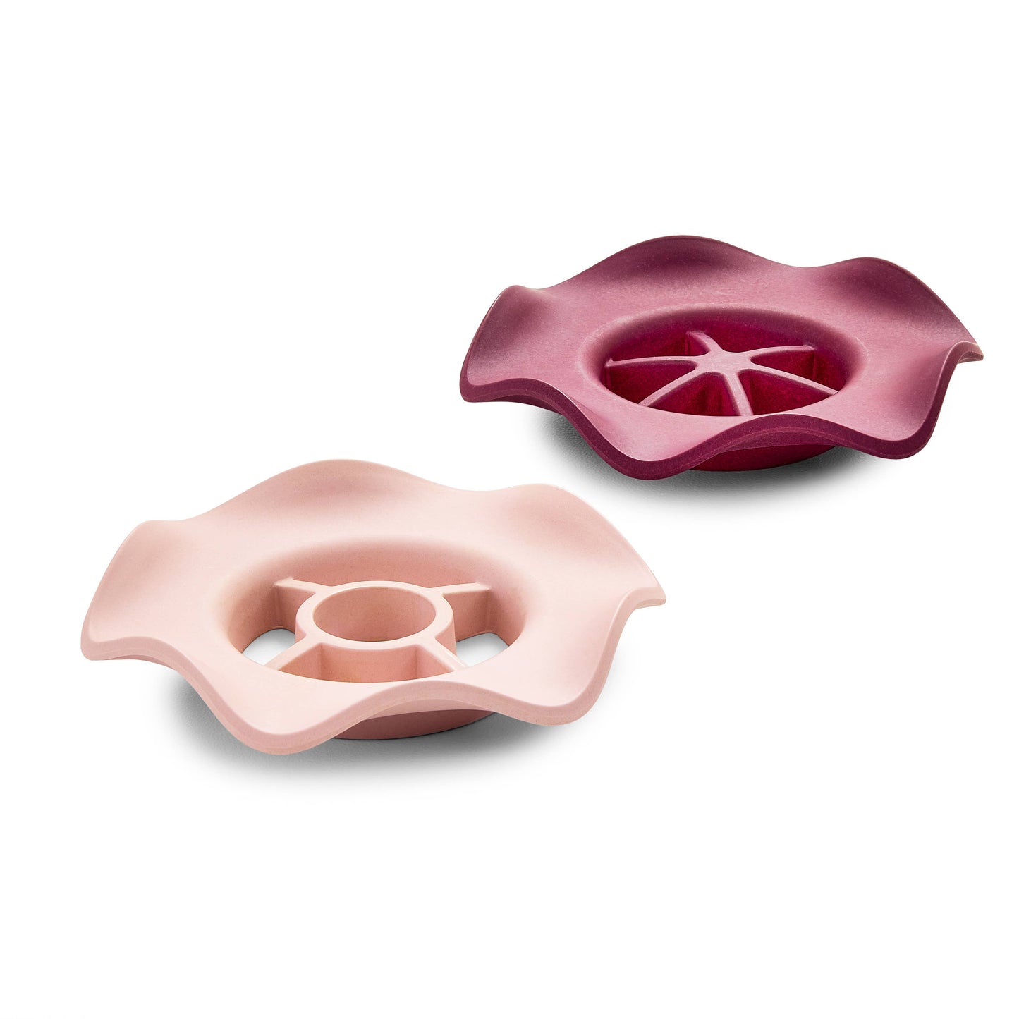 Botanical Keepers ~ Keep Flower Fresh