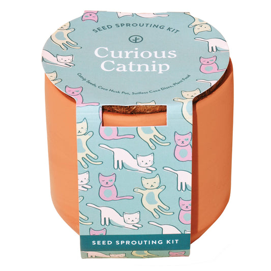 Tiny Terracotta ~ Curious Catnip Kit