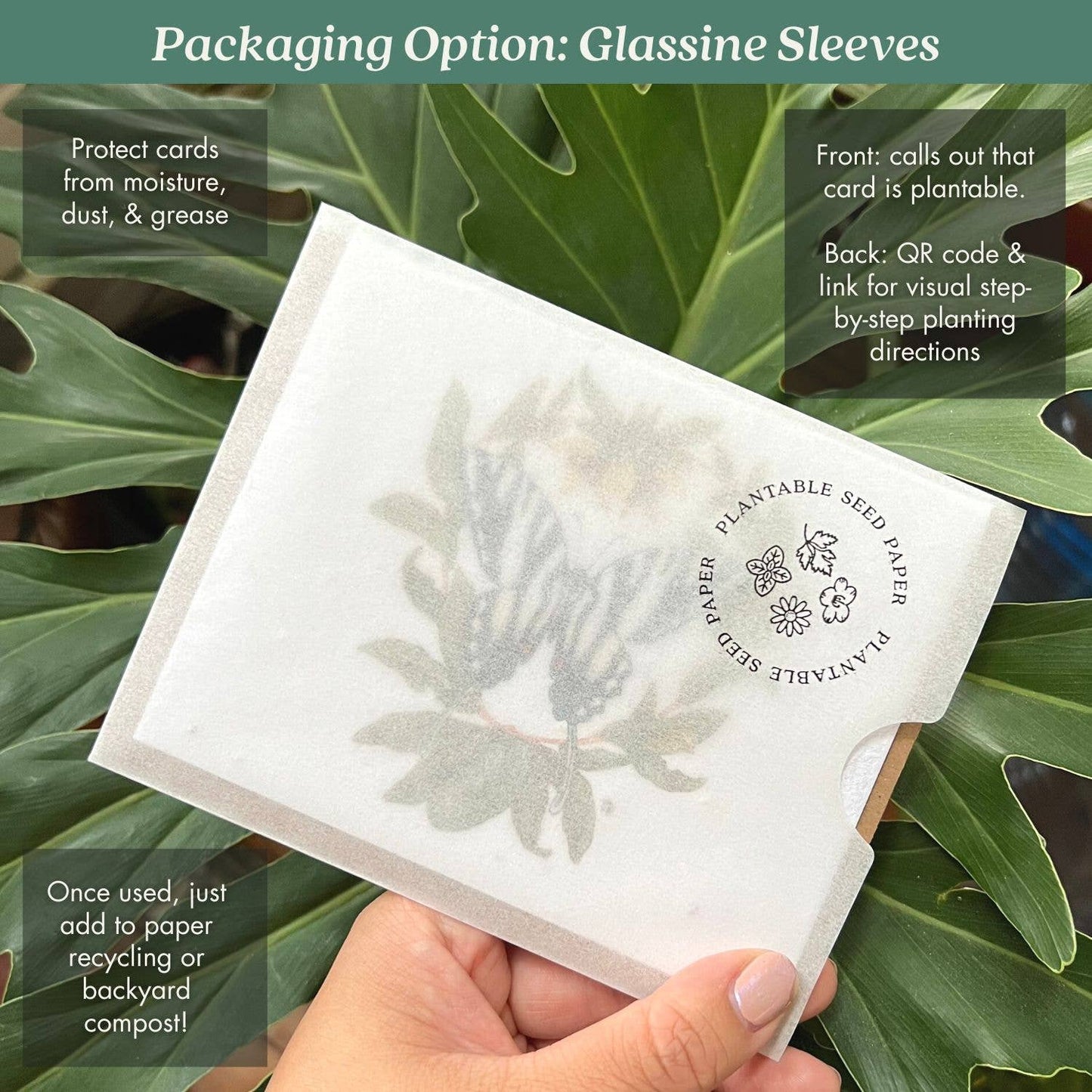 Luna Moth Plantable Greeting Card ~ Lun