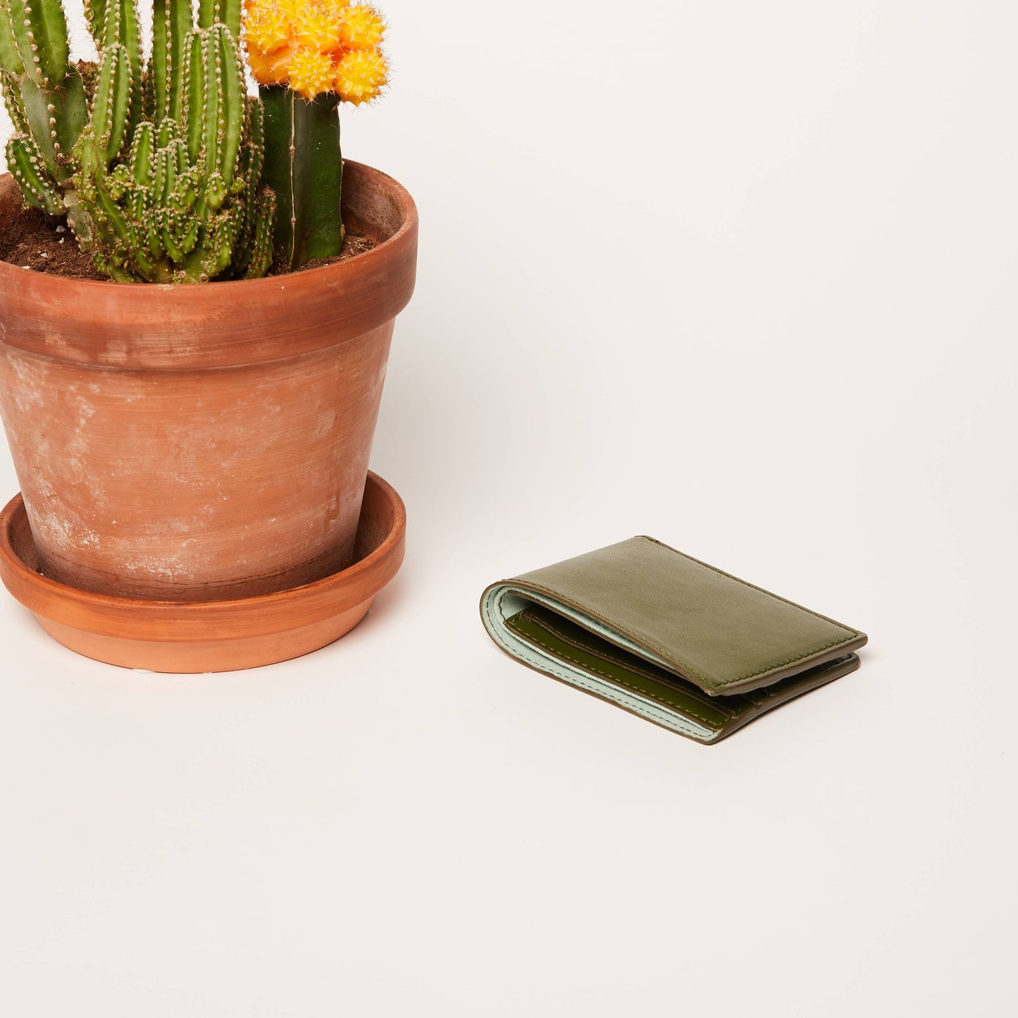 Bifold Wallet ~ Green Cactus