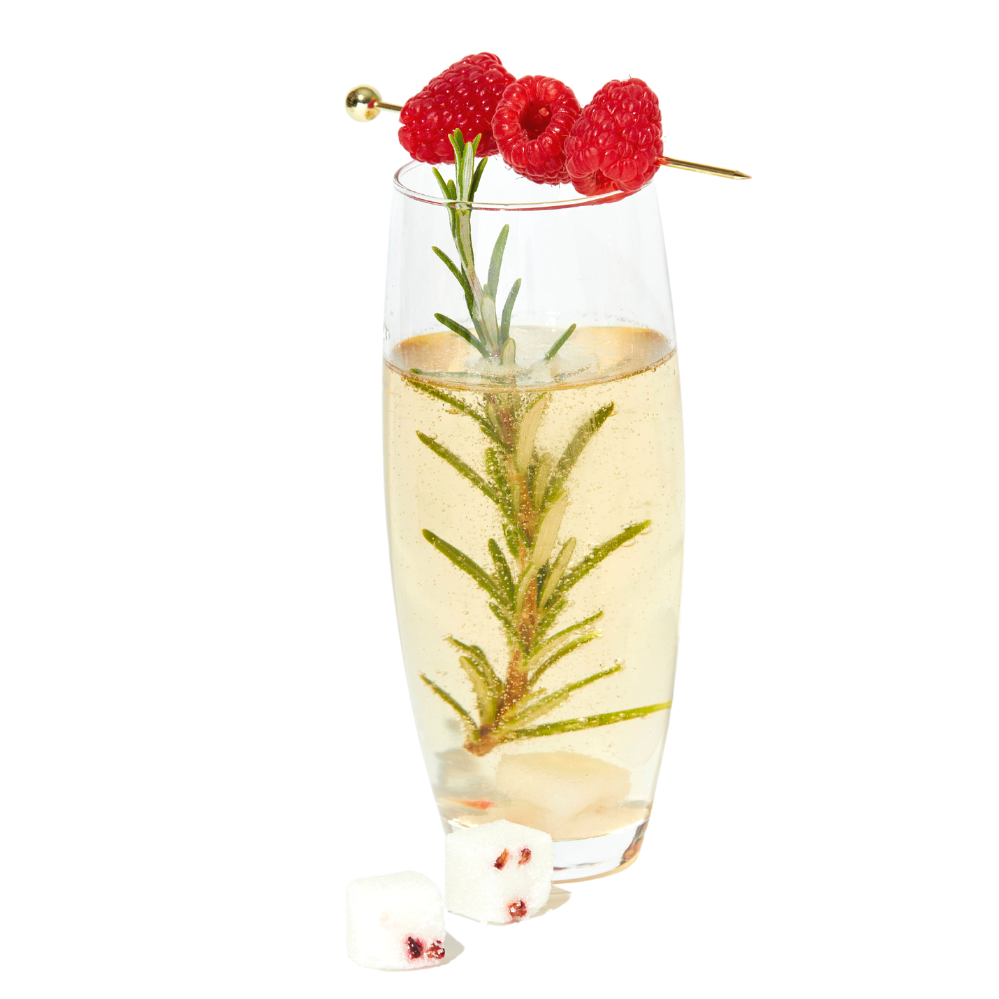 Mixology Cubes ~ Raspberry