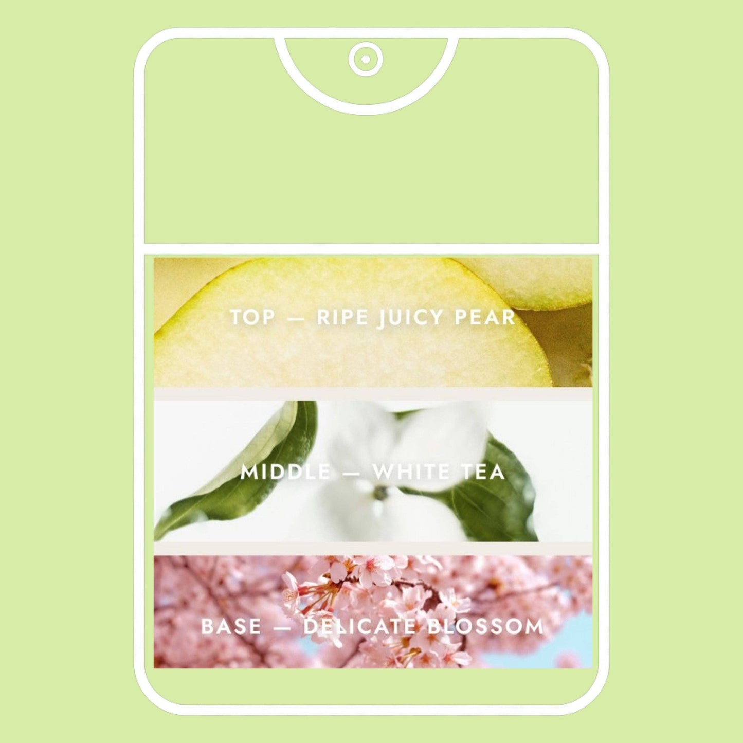 Refillable Pocket Sanitizer ~ Pear Blossom Tea
