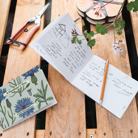 Gardener's Diary - Vintage Cornflower