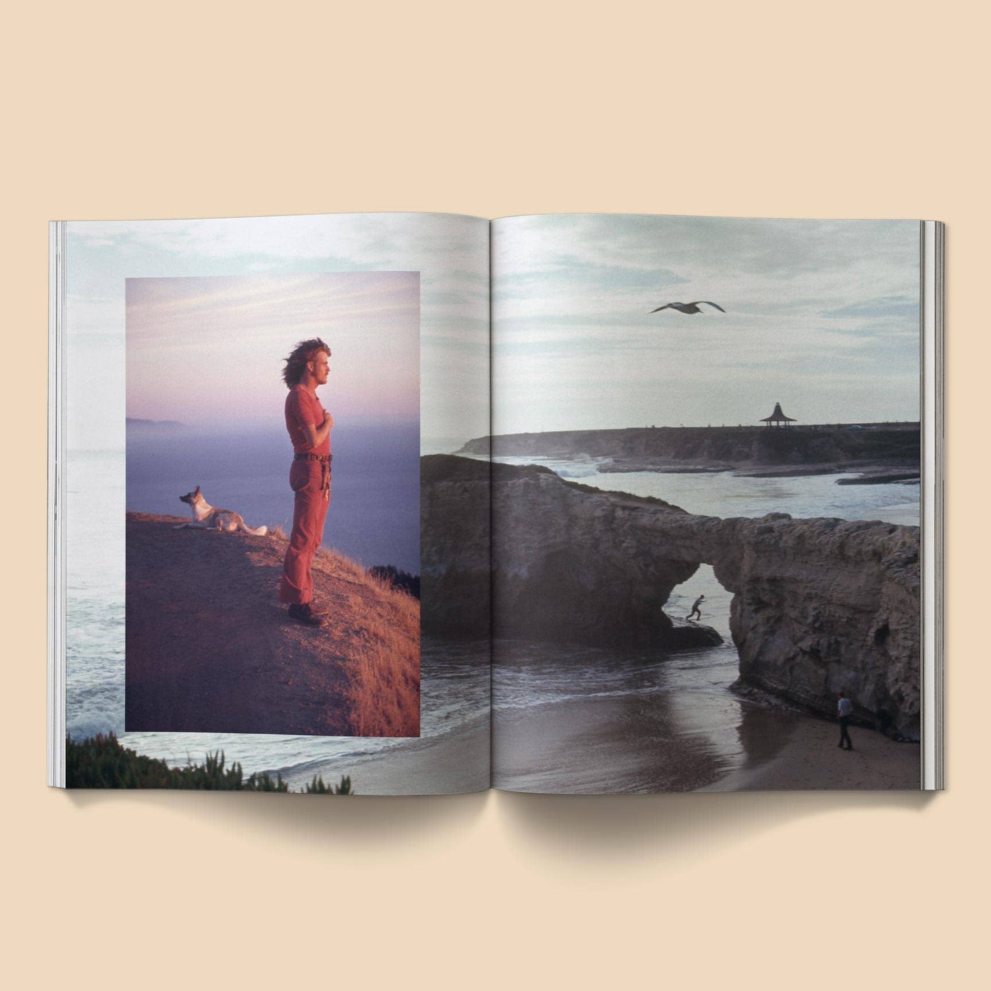 The Family Acid: California Photo Book