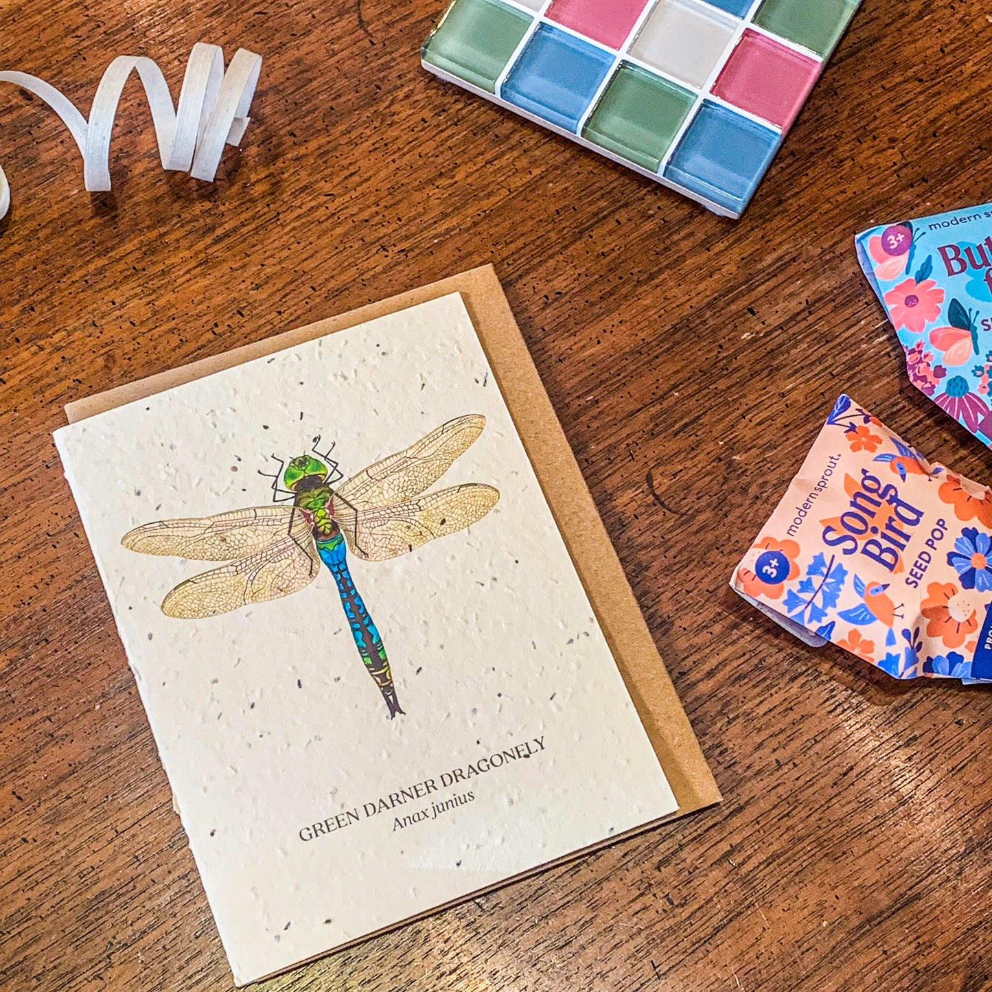 Greeting Card ~ Green Darner Dragonfly (Plantable Wildflower Seed Card)