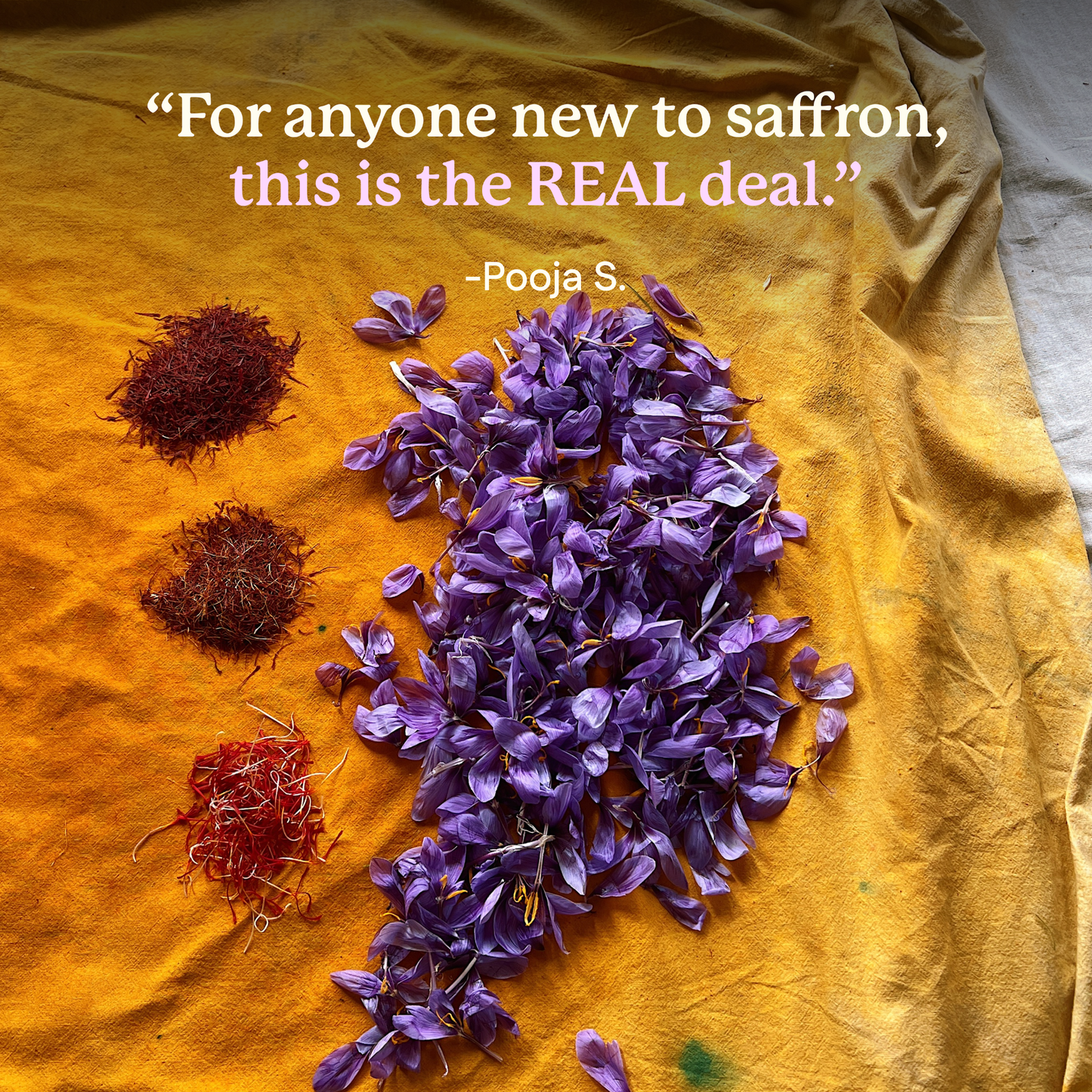 Kashmiri Saffron (Grade A Threads) - Single-Origin Spice